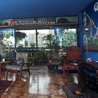 Exposición De Visita: La sala azul.