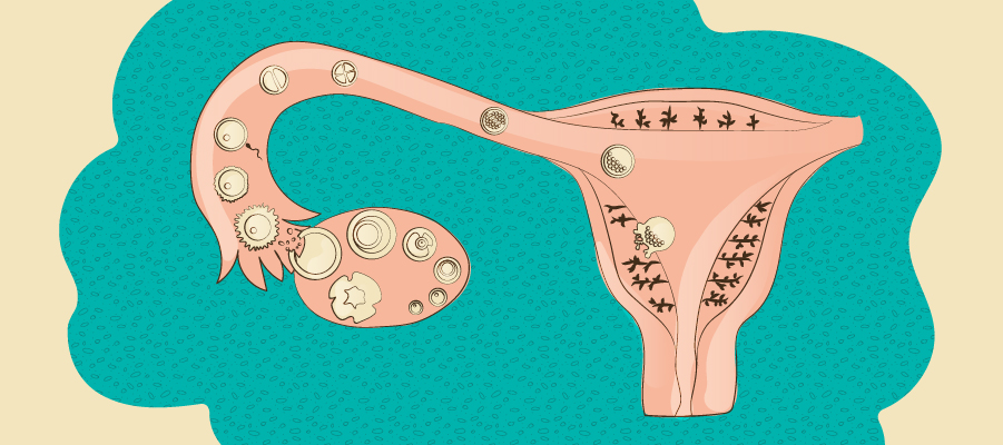 anticonceptivos_ovulacion.jpg