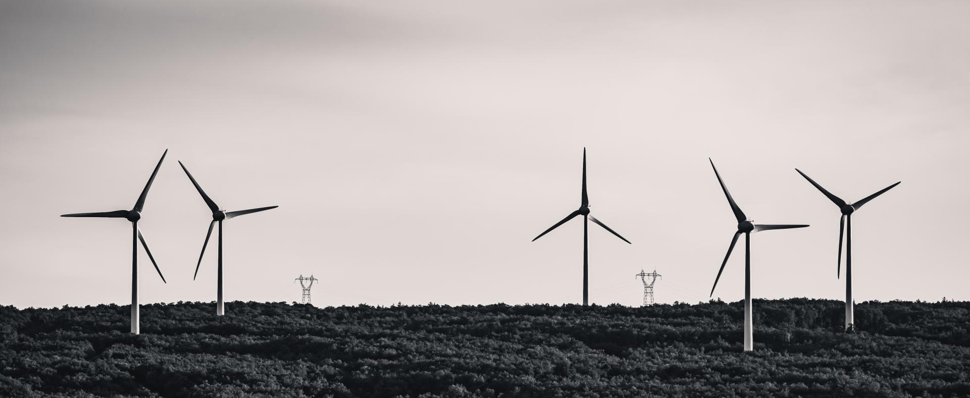 Imagen de banner Vento