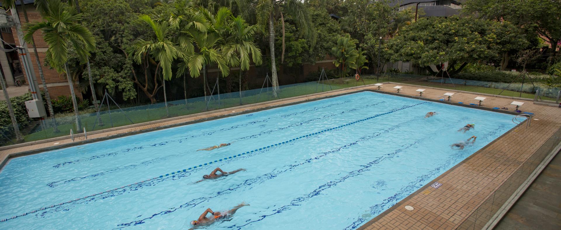 Imagen de banner piscina natacion