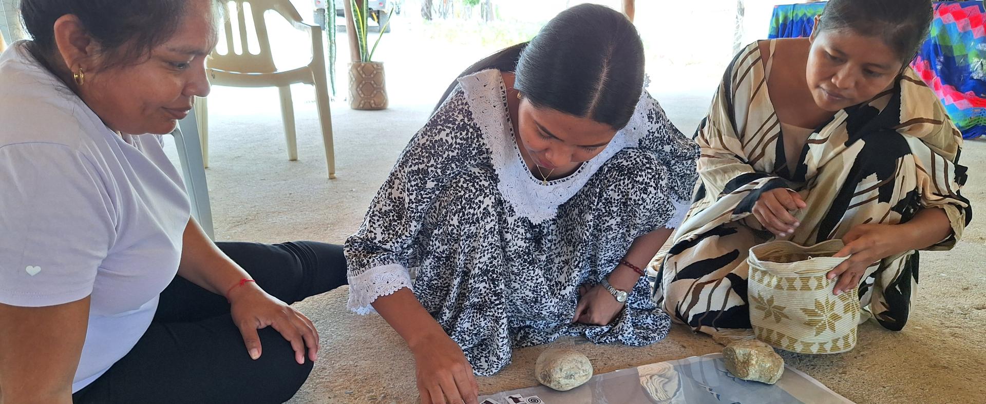 Imagen de banner y gráficos Orquídeas Guajira