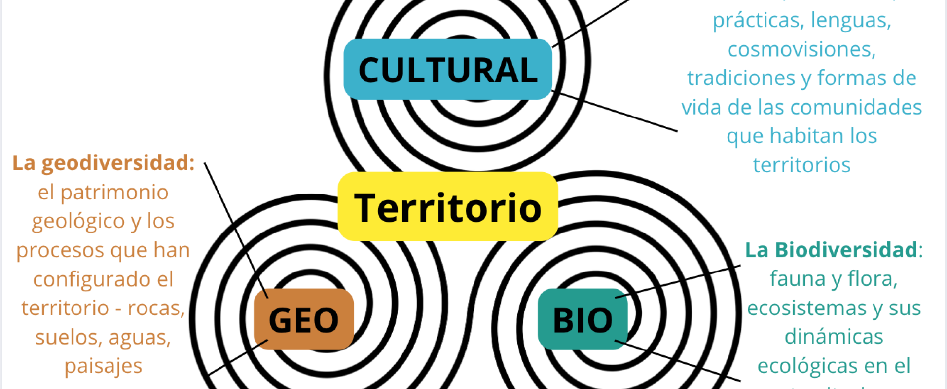 gráfico bio-geo-cultural