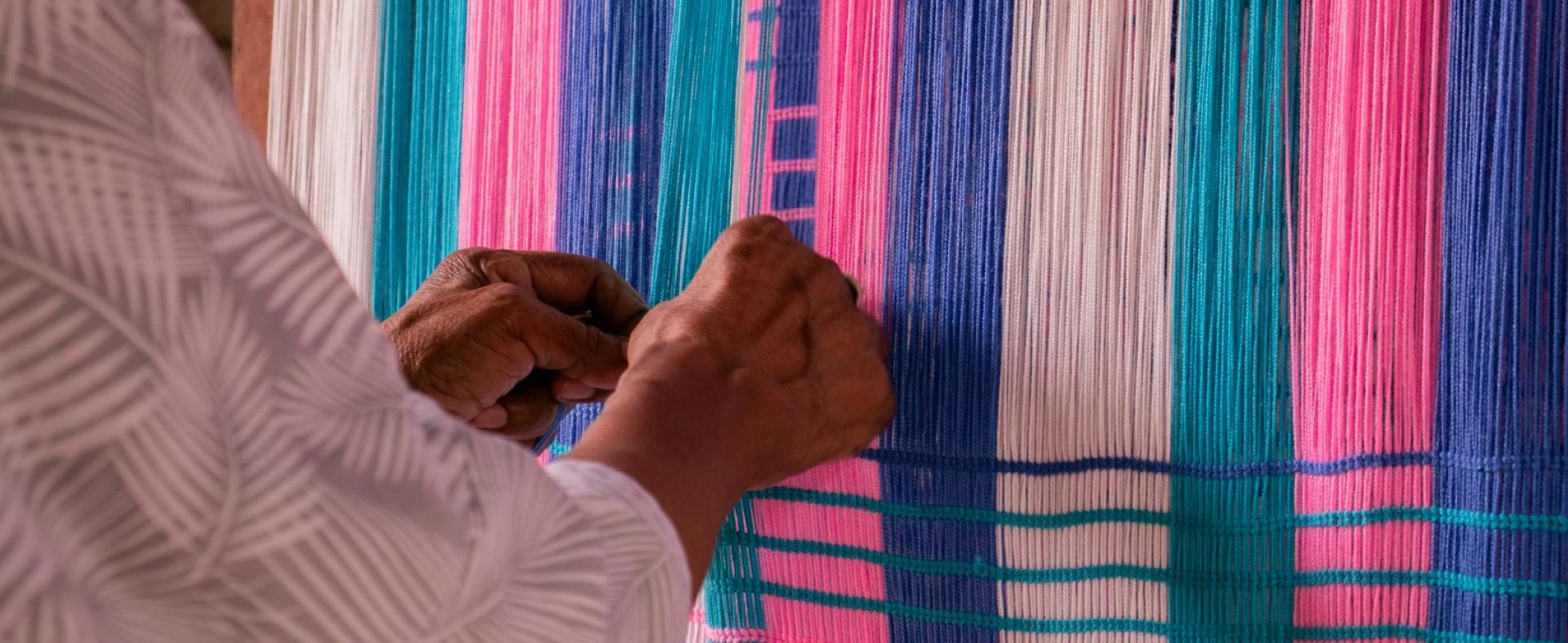 Imagen de banner proyecto Orquideas Guajira